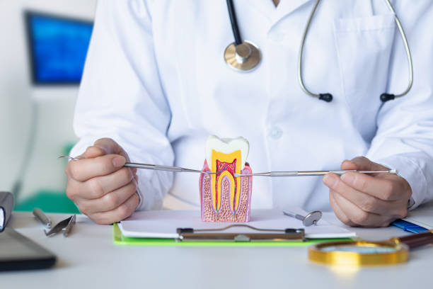 Best Emergency Tooth Extraction in Marlboro Meadows, MD
